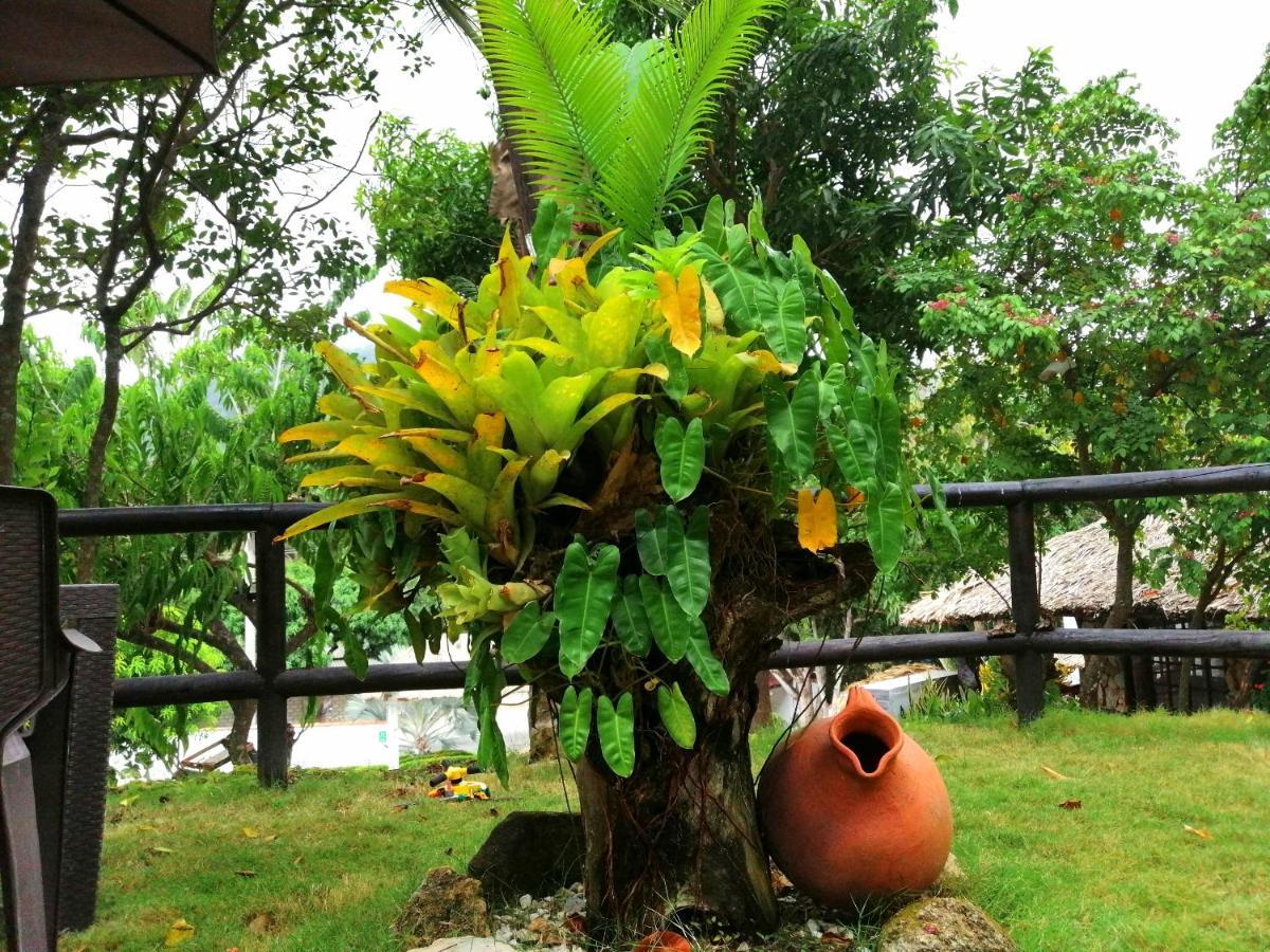 Villa Cata Hotel El Zaino Luaran gambar